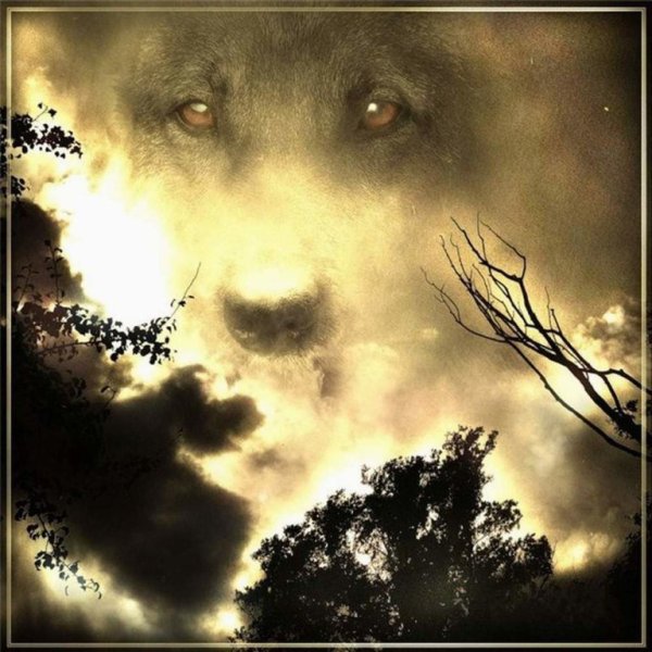 Собака на небесах