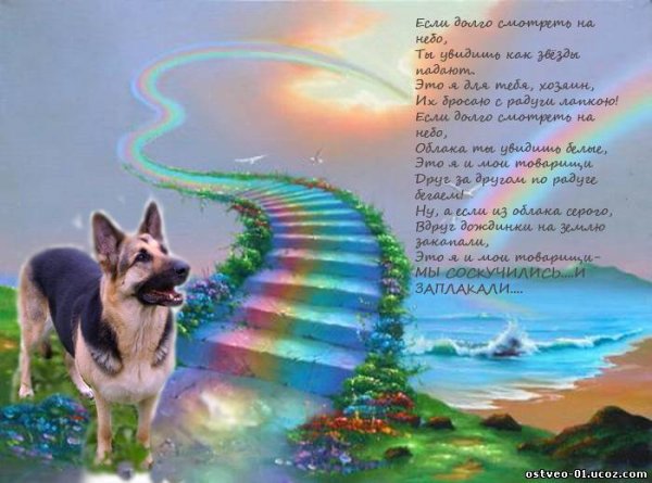 Ушедшим за радугу посвящается