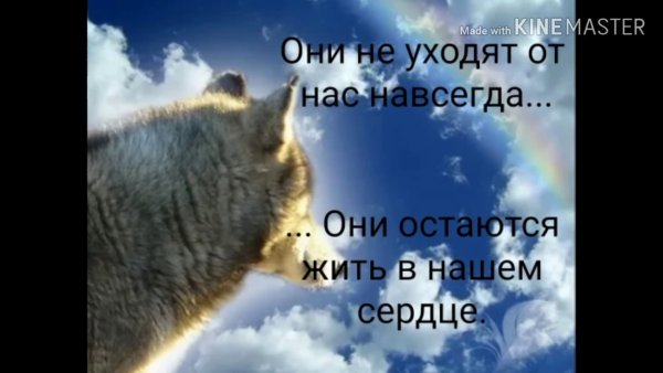 Арт бежит по радуге