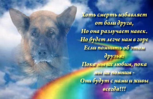 Облако над раем