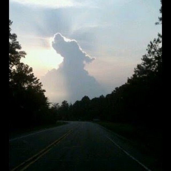 Звезды на небе в виде животного