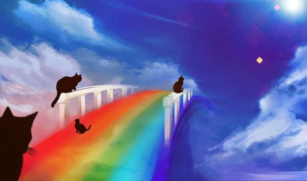 Мост радуги рай для животных