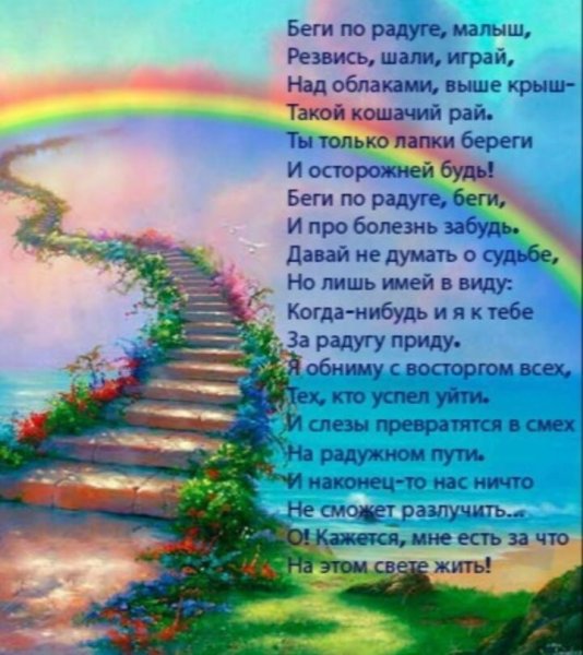 Собака на радуге