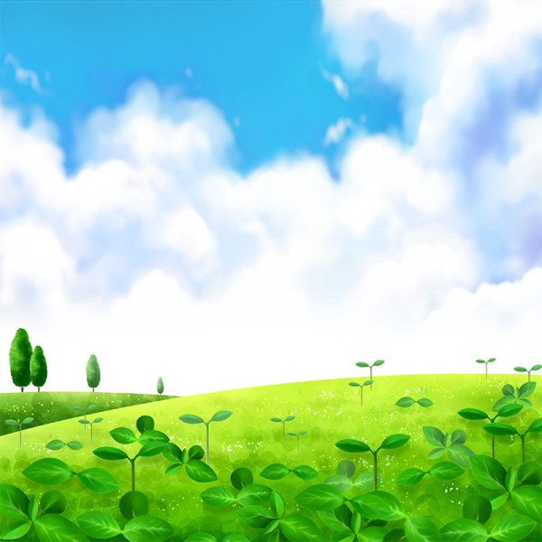 Фон Полянка