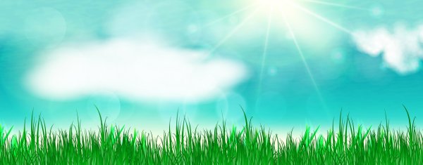 Трава баннер