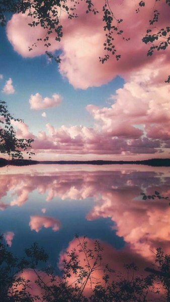 Розовое облако