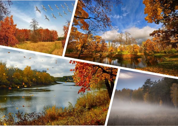 Уж небо осенью