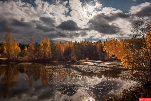 Небо осенью дышало