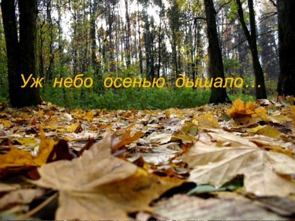 Стоял ноябрь уж у двора и небо осенью дышало