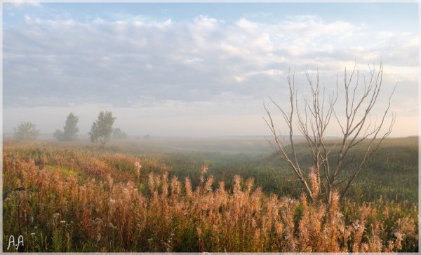 Осень уж небо осенью дышало