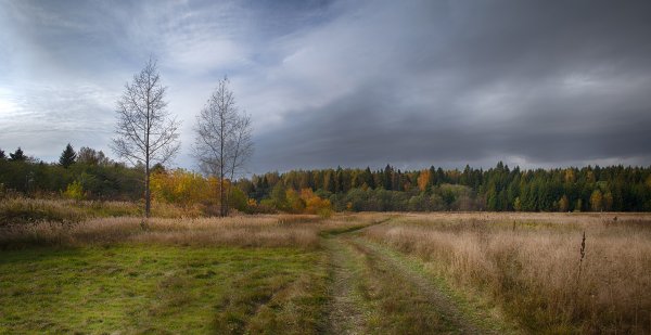"Уж небо осенью дышало" Волгоград