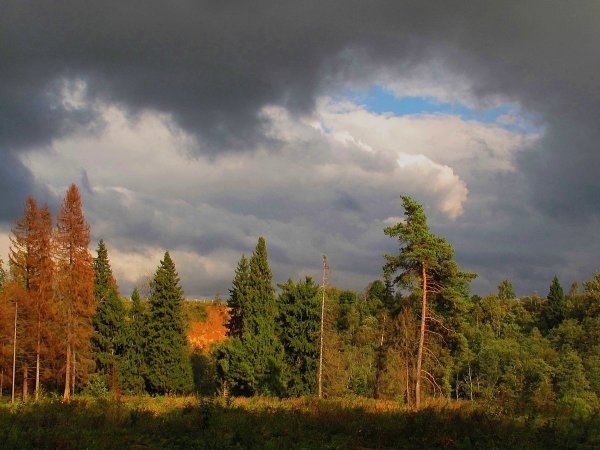 Осень уж небо осенью дышало