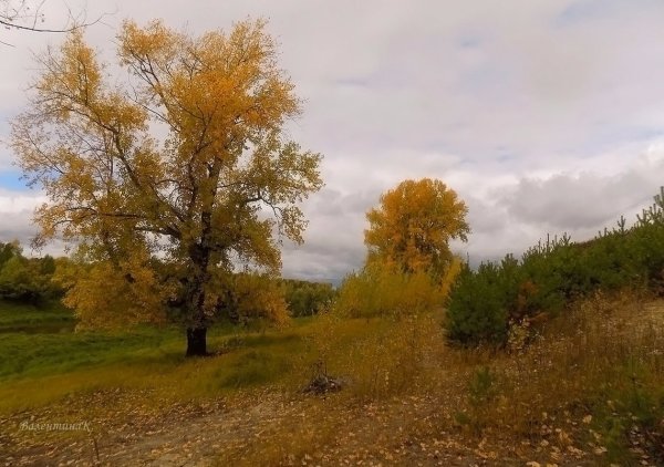 Небо осенью дышало