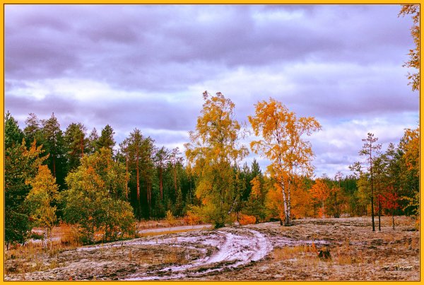Небо осенью дышало