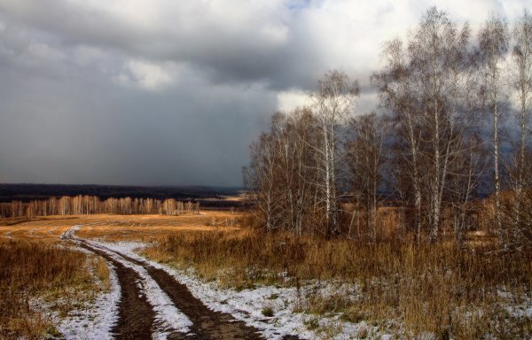 Пушкина уж небо осенью дышало