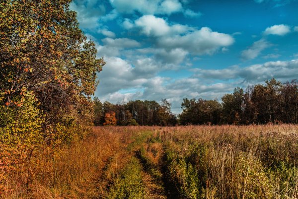 Приближается осень