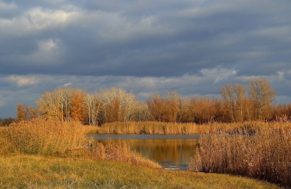 Уж небо осенью дышало пейзаж