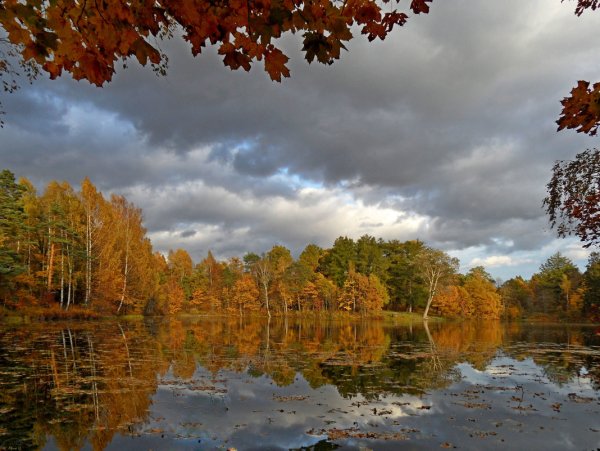 Уж реже солнышко блистало