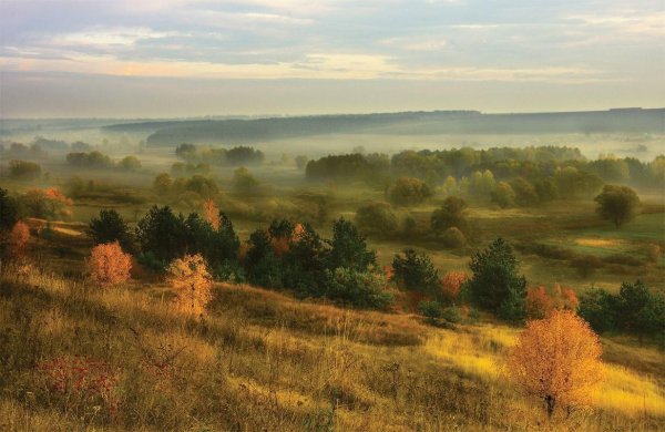 "Уж небо осенью дышало" Волгоград