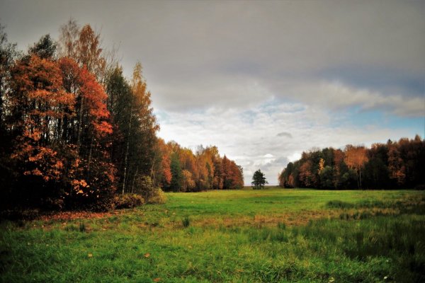 Тучи осенью