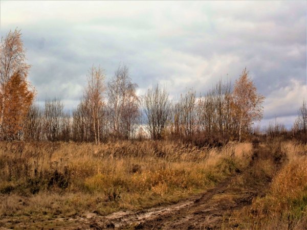 Пушкин уж небо осенью дышало иллюстрации