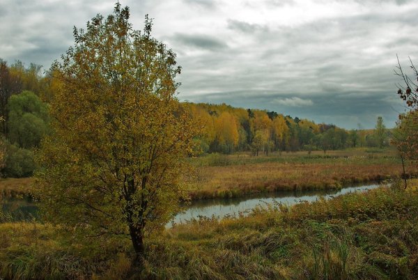 У лето осенью дышало