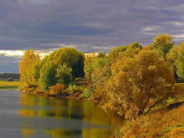 Пушкин в лесу