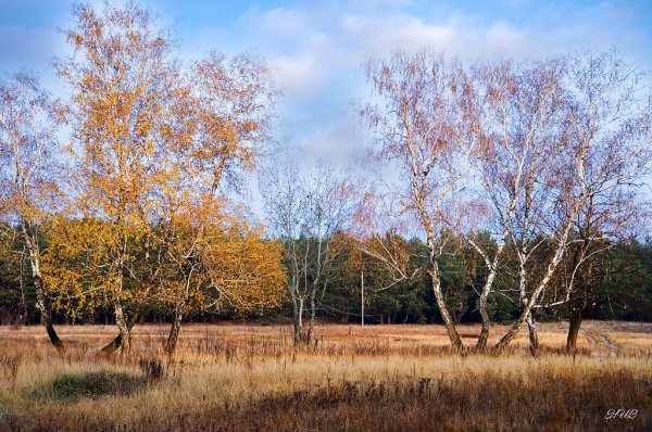 Александр Сергеевич Пушкин стихотворение