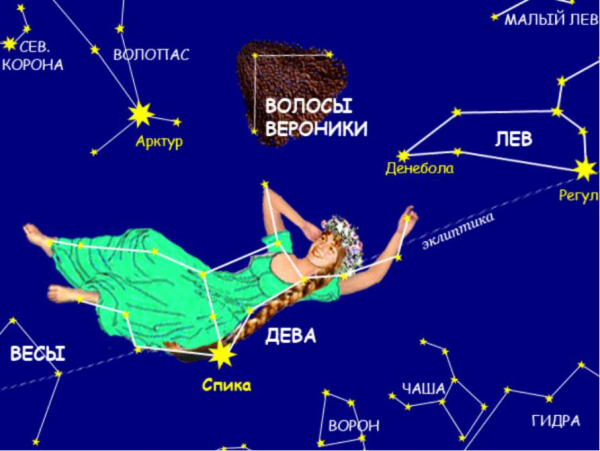 Спика звезда в созвездии Девы