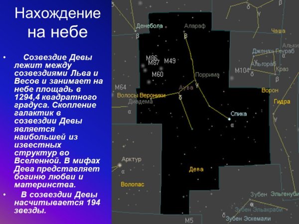 Созвездие Ориона в ночном небе