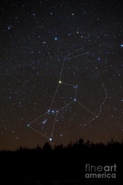 Созвездие Ореон на небе