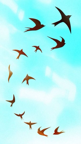 Два голубя в небе