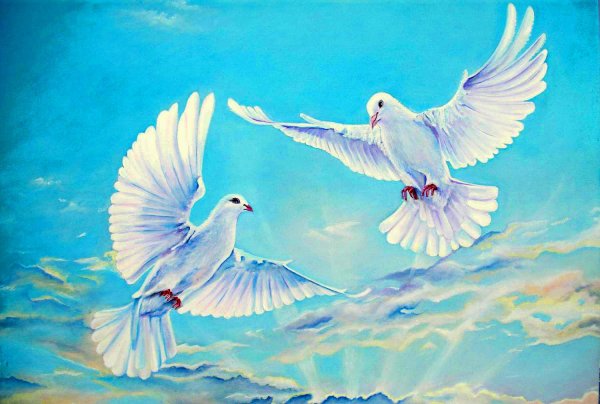 Птицы улетают