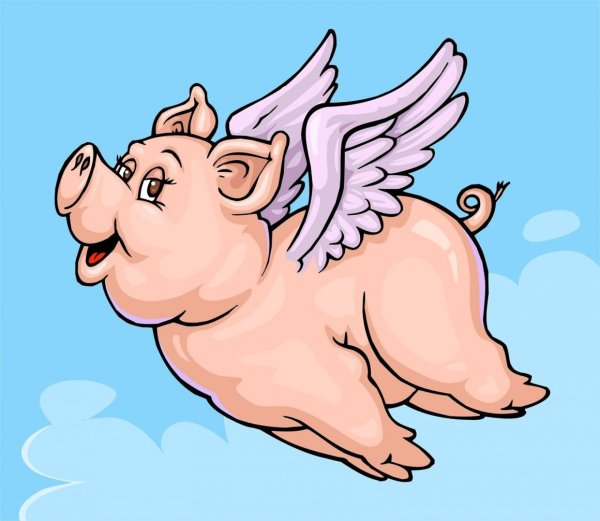 Свинья с крылышками