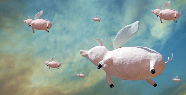 Летающий поросёнок