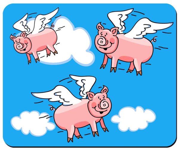 Когда свиньи полетят