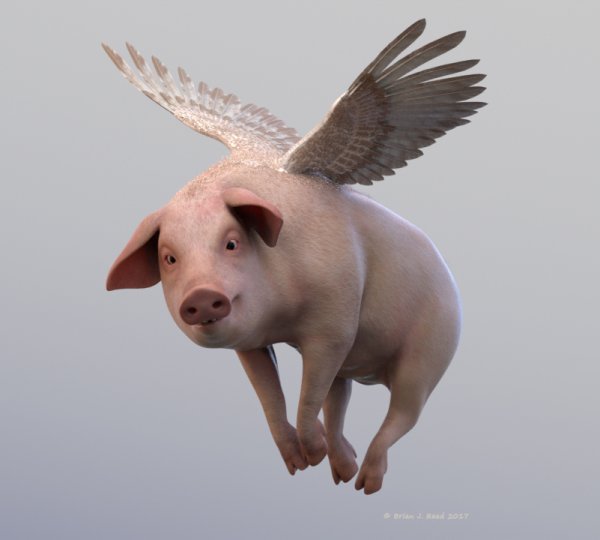 Летающая свинья