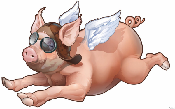 Летающий поросёнок