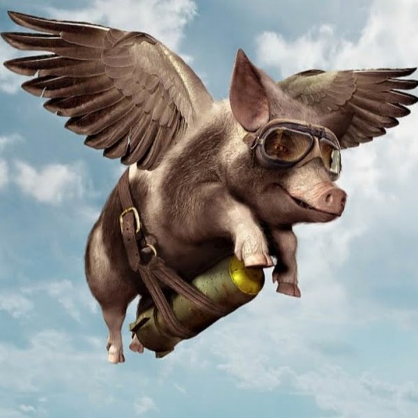 Летающий поросёнок