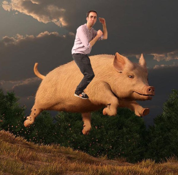 Свинья с крылышками