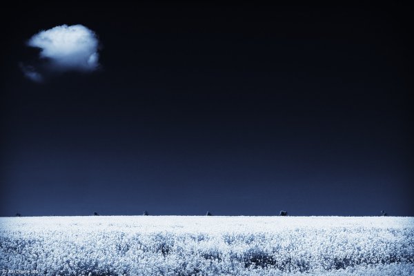 Зимнее поле ночью