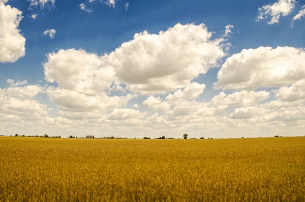 Облака над полем