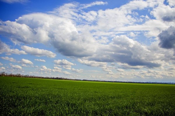 Июньское небо облака