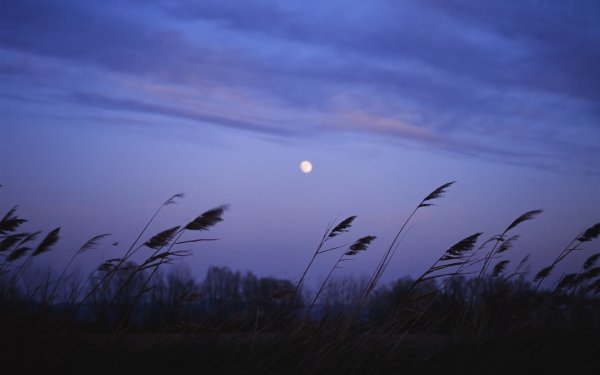 Красивое ясное небо