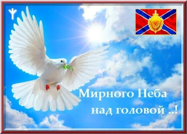 Всем мирного неба над головой