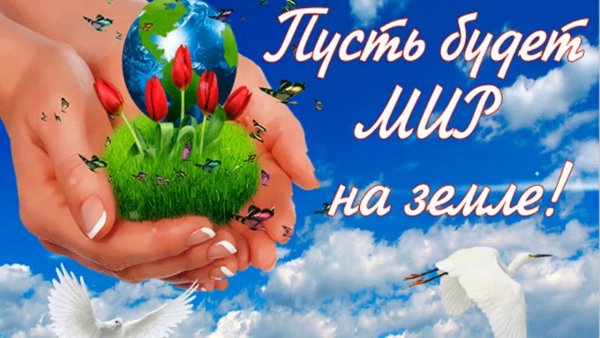 Мирного неба и счастья