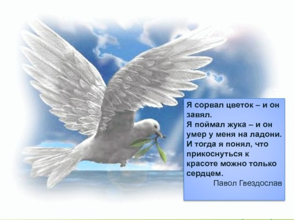 Пусть будет небо чистое над вами