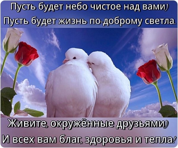 Пожелания мира и добра