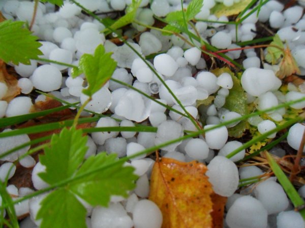 Междуреченск град с размером яйца