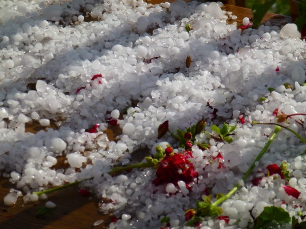 Ледяной град